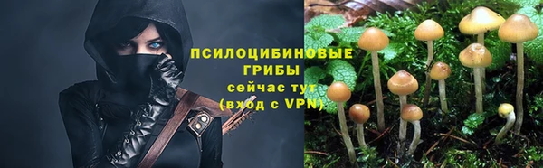 каннабис Алексеевка
