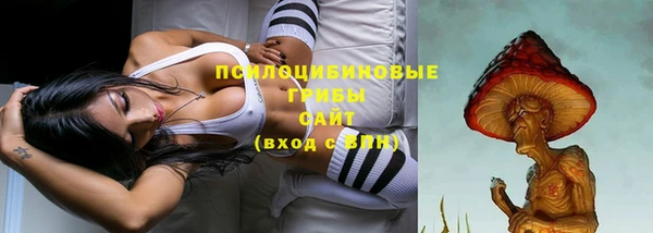 каннабис Алексеевка