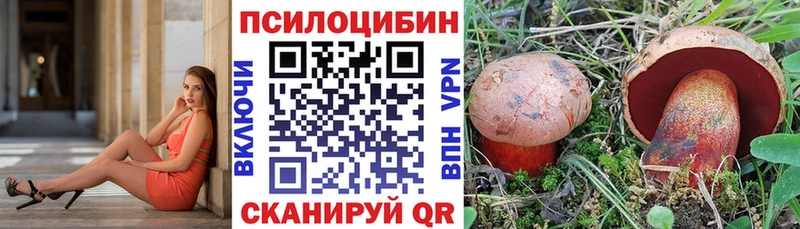 Галлюциногенные грибы GOLDEN TEACHER продажа наркотиков Кондопога