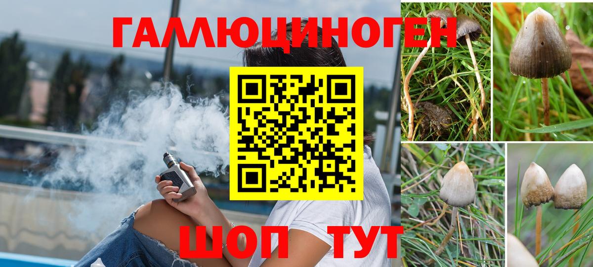 Галлюциногенные грибы прущие грибы Кондопога