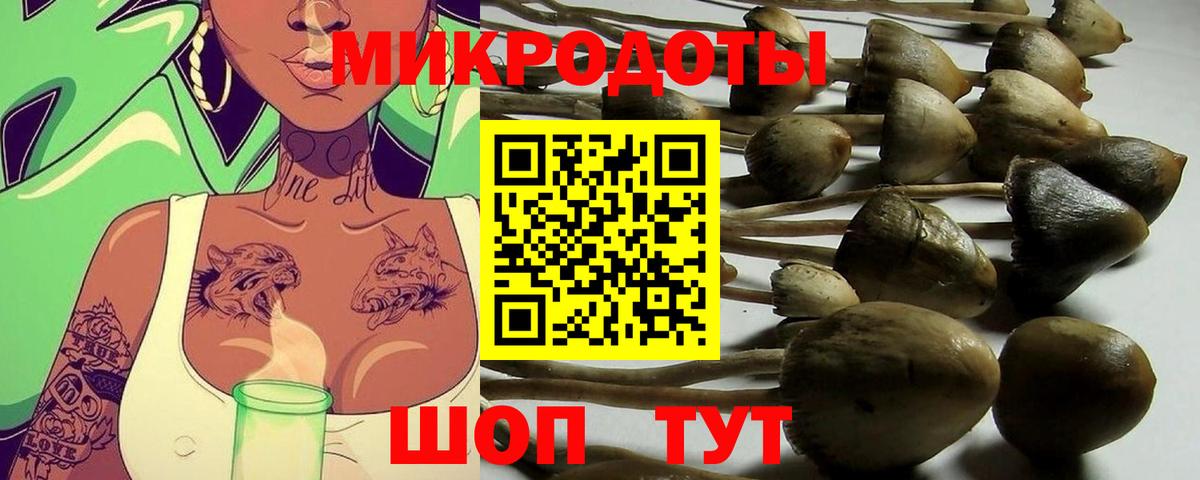 Галлюциногенные грибы мухоморы  Вход с VPN  Кондопога 